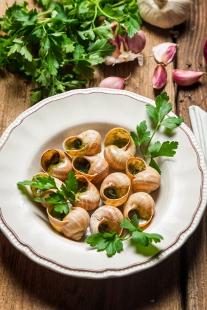 Baked snails with garlic butterの写真素材