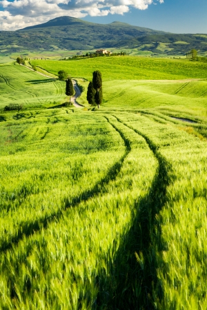 Beautiful view of the valley in Tuscany, Italyの写真素材