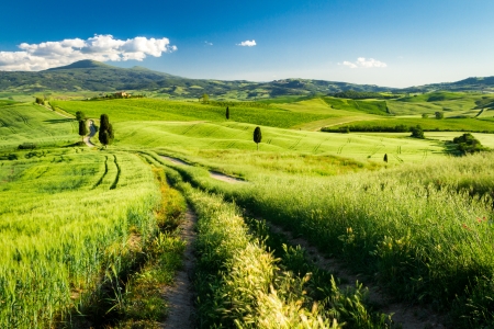 Countryside footpath in Tuscanyの写真素材