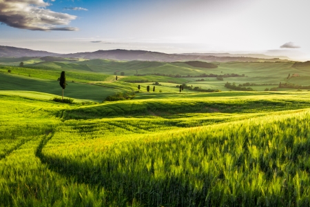 Rising fog in the valley at sunset, Tuscanyの写真素材