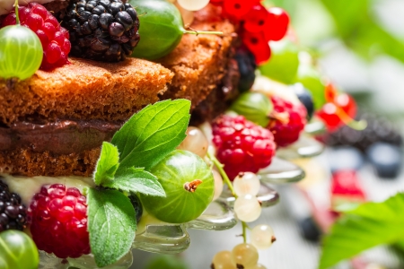Closeup of fresh wild berry fruits in a cakeの写真素材