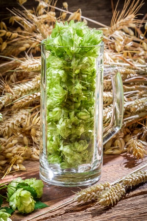 Hop cones collected in a pint of beerの写真素材