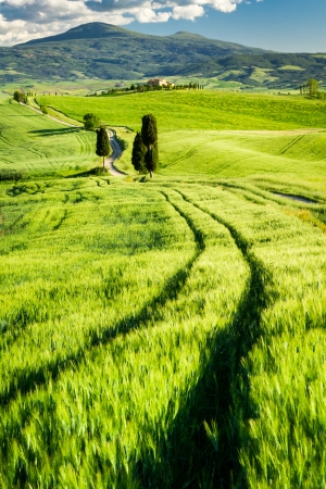Beautiful view of the valley in Tuscany, Italyの写真素材