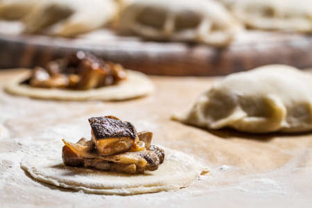 Forest ingredients for homemade dumplingsの写真素材