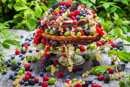 Cake wild fresh berry fruits in forestの写真素材