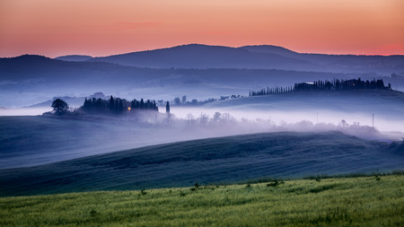 Farm of olive groves and vineyards in foggy morningの写真素材