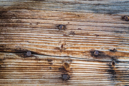 Old wooden background with nailsの写真素材