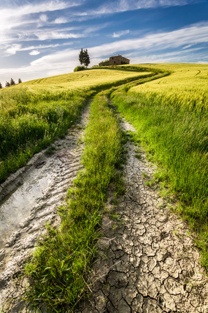 Gold and green fields in the valley at sunset, Tuscanyの写真素材