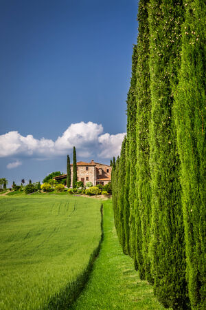 Road to agritourism in Tuscany with cypressesの写真素材