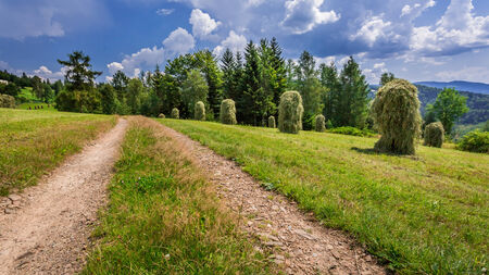 Country road between the sheaves of hay