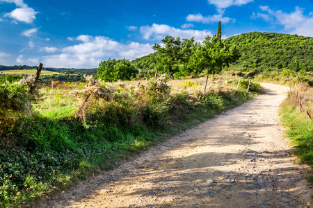 Dirt road in the countryside, Tuscanyの写真素材