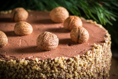 Walnut cake filled with nutsの写真素材