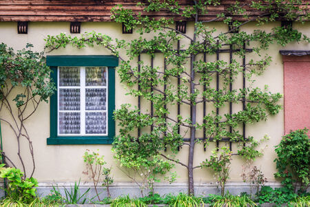 Cottage at the foot of the mountains in the Alpsの写真素材