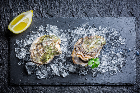 Tasty oysters on black rockの写真素材