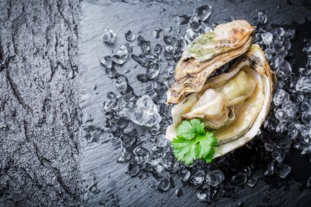 Delicious oyster in shell on iceの写真素材