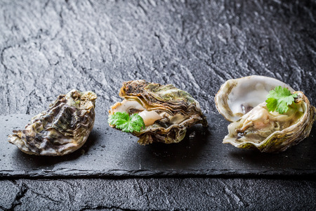 Freshly caught oysters on black rockの写真素材