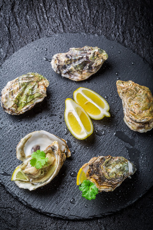 Freshly caught oyster in shell on crushed iceの写真素材