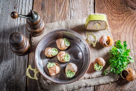 Homemade snails
 with garlic butter and hebrsの写真素材