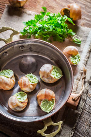 Delicious snails
 with garlic butterの写真素材