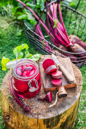 Homemade canned beetroots in summerの写真素材