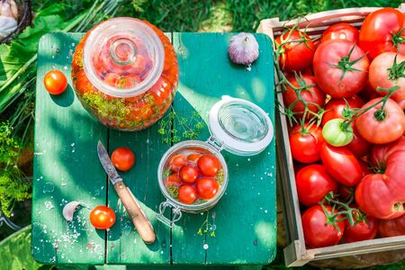 Ingredients for pickled tomatoes in the jarの写真素材