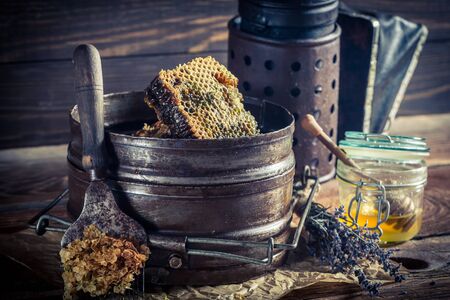 Antique beekeeper toolsの写真素材
