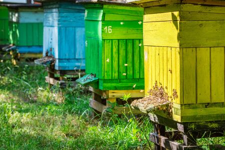 Wooden beehives in sunny dayの写真素材