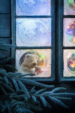 Teddy bear in frozen window for Christmas with tree and lightsの写真素材