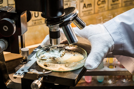 Academic laboratory with microscope and sample