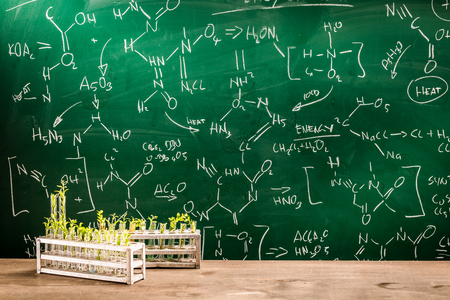Study the effects of chemicals on plantsの写真素材