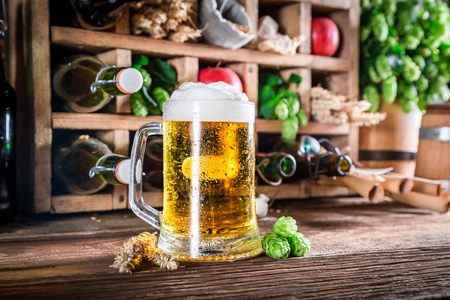 Cold and fresh cider beer and ingredients in cellarの写真素材