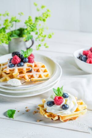 Sweet waffels with berry fruits and whipped creamの写真素材
