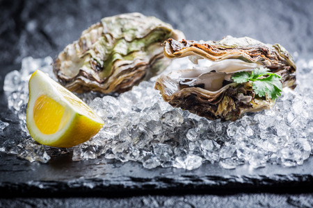 Tasty oysters on iceの写真素材