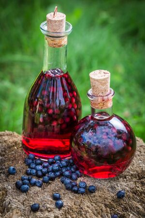 Homemade liqueur in a bottle with blueberries and alcoholの写真素材