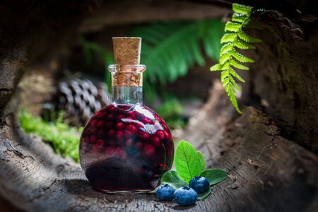 Tasty liqueur in a bottle with blueberries and alcoholの写真素材