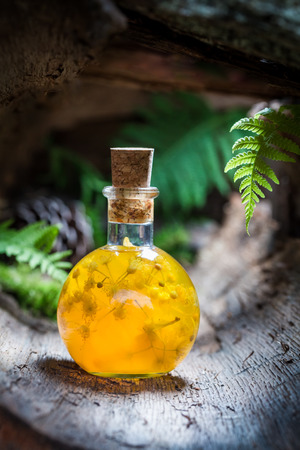 Sweet liqueur with linden and honeyの写真素材