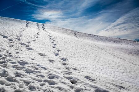 Footprints in the snow leading to the top, Alps, Austriaの写真素材