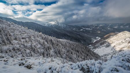 Winter trail to the valley gasienicowej at dawn, Tatra, Polandの写真素材