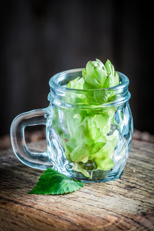 Small pint of beer with hops insideの写真素材