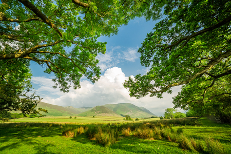 Frame made by field and trees in District Lake, Englandの写真素材
