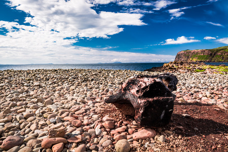Rocky shore by the sea in Scotlandの写真素材