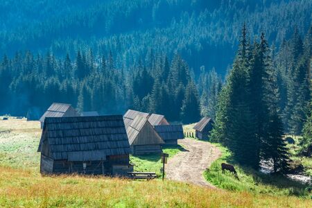 Mountain trail between cottages in Tatra Mountains, Polandの写真素材