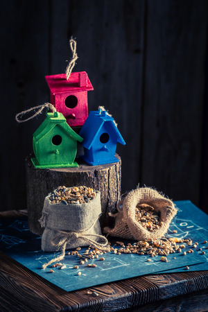 Project of small bird house and plan to build itの写真素材