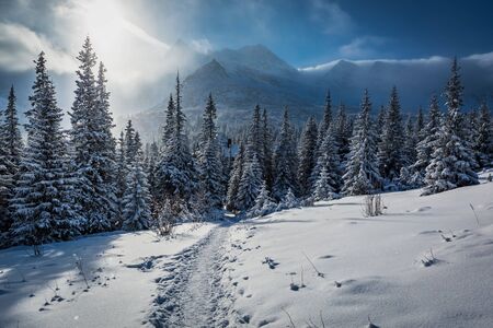 Enjoy your journey to Tatras Mountains in winter in Polandの写真素材