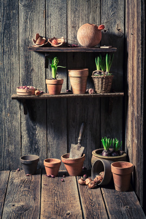 An old shed with old clay pots and gardening toolsの写真素材