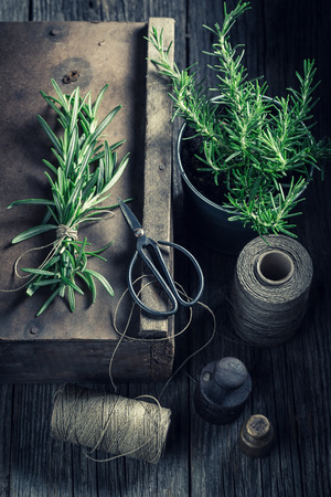 Fresh and intensive green herbs in a rustic kitchenの写真素材