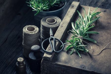 Green and fresh green herbs on a wooden boxの写真素材