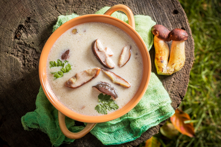 Tasty mushroom soup on old wooden stumpの写真素材