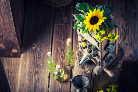 Original virgin oil machine with sunflower and seedsの写真素材