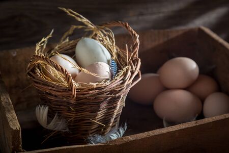 Fresh and ecological eggs in the basket